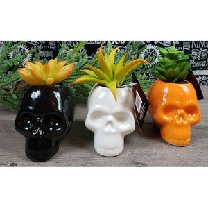 Halloween Ceramic Skull Succulent Plant Décor Set Of 3 NWT